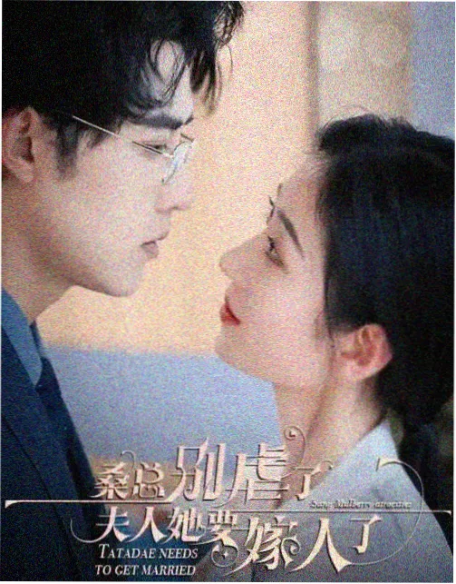 八戒八戒全集观看